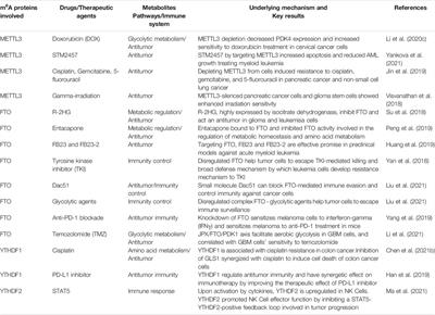 Interplay Between m6A RNA Methylation and Regulation of Metabolism in Cancer